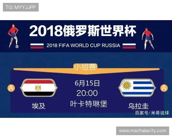 2026年世界杯比利时埃及比赛中VAR技术的应用标准与裁判判罚指南